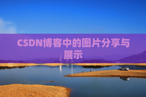 CSDN博客中的图片分享与展示